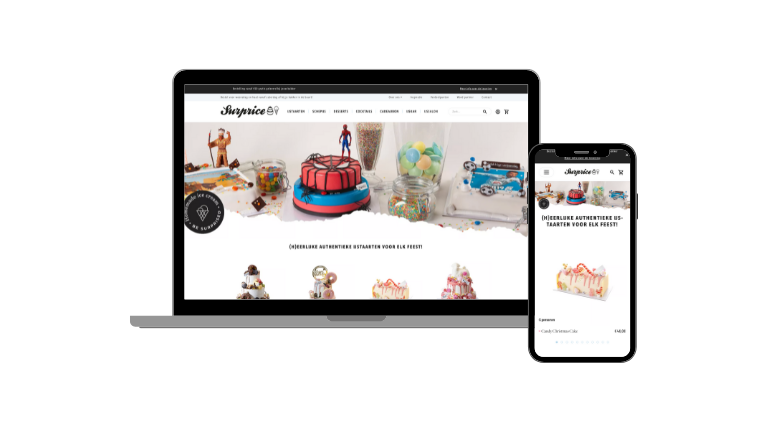 Portfolio-Surprice